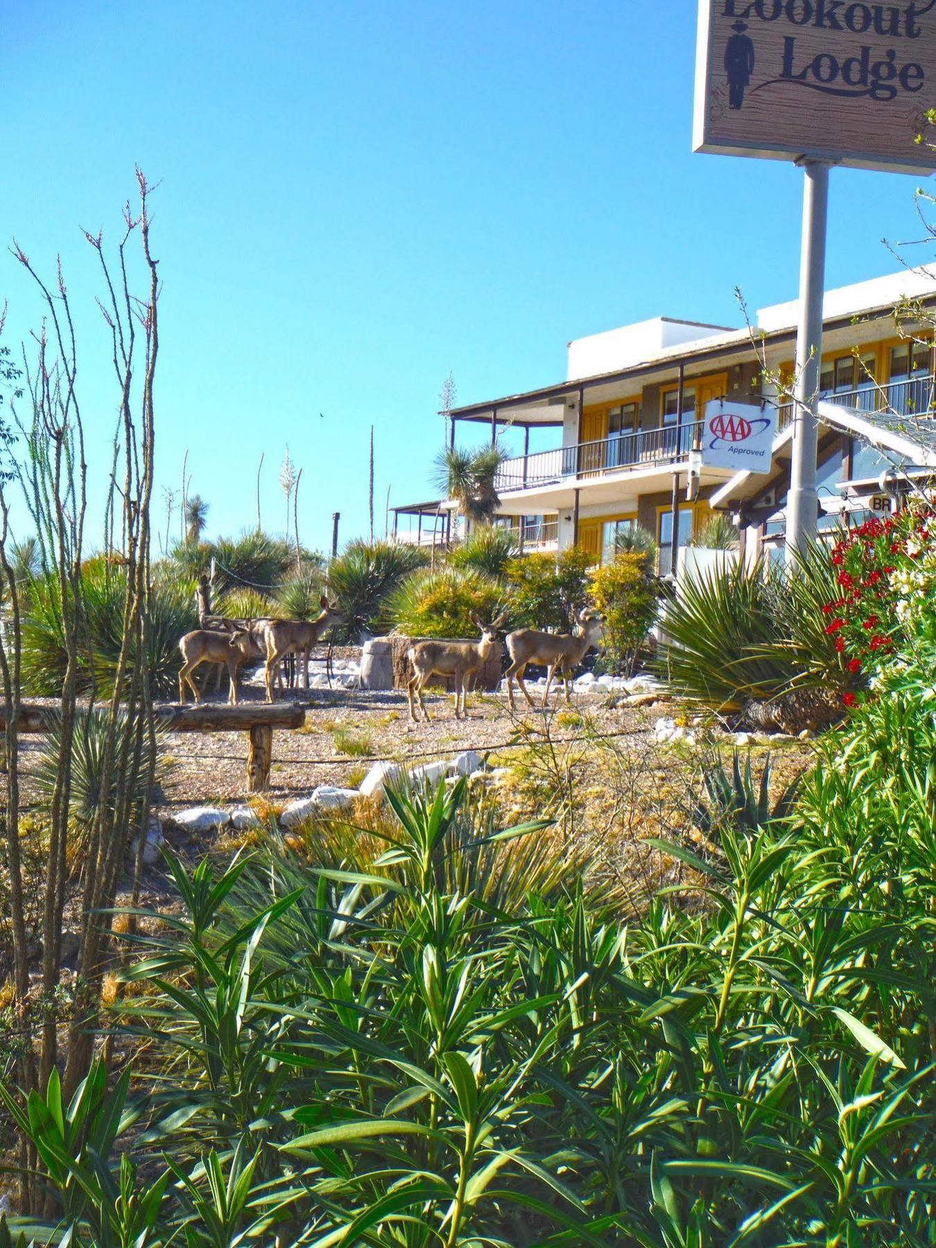 Landmark Lookout Lodge Tombstone Εξωτερικό φωτογραφία